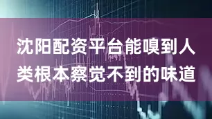 沈阳配资平台能嗅到人类根本察觉不到的味道