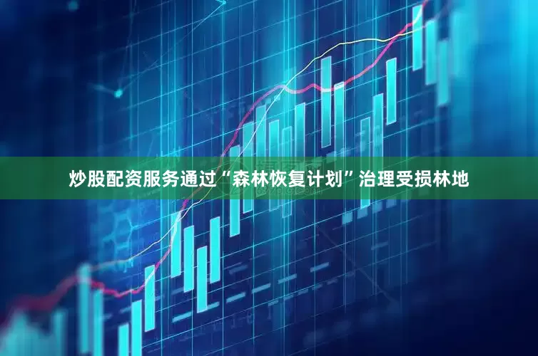 炒股配资服务通过“森林恢复计划”治理受损林地