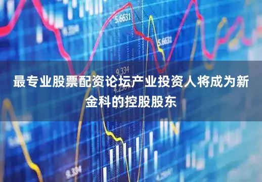 最专业股票配资论坛产业投资人将成为新金科的控股股东