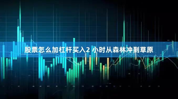 股票怎么加杠杆买入2 小时从森林冲到草原