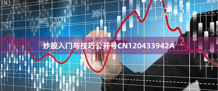 炒股入门与技巧公开号CN120433942A